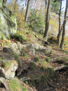 Appalachian Trail