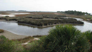 Salt marsh with water channels and low vegetation stretching to distance