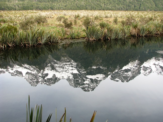 Reflection of snowcapped mountains in small pond in New Zealand.