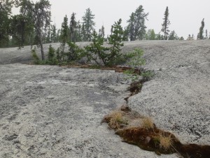 Foreground to mid-ground is exposed grey bedrock with crack filled with scraggly spruce trees and moss.