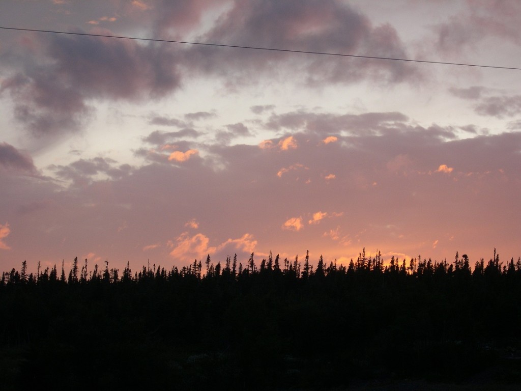 Power line and purple and peach sunset above a black silhouette of black spruce.