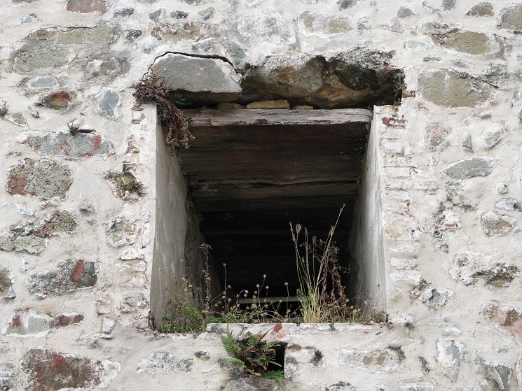 Weeds growing in window of old stone fort.