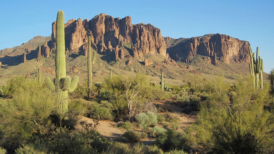 Panoramic view of Supersititon Mountain with Sonoran desert in foreground.