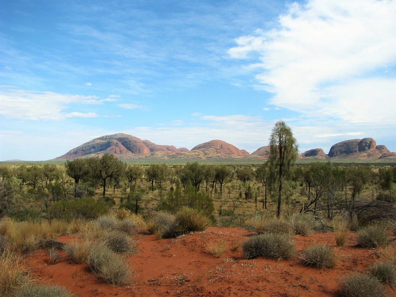 Rounded hills of bare aggregate rocks on horizon; Australian desert in foreground.