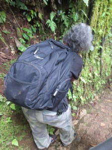 Tour guide bent over to entice a tarantula out of its hole.