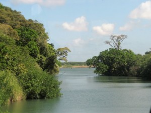 River in jungle; site of French canal.