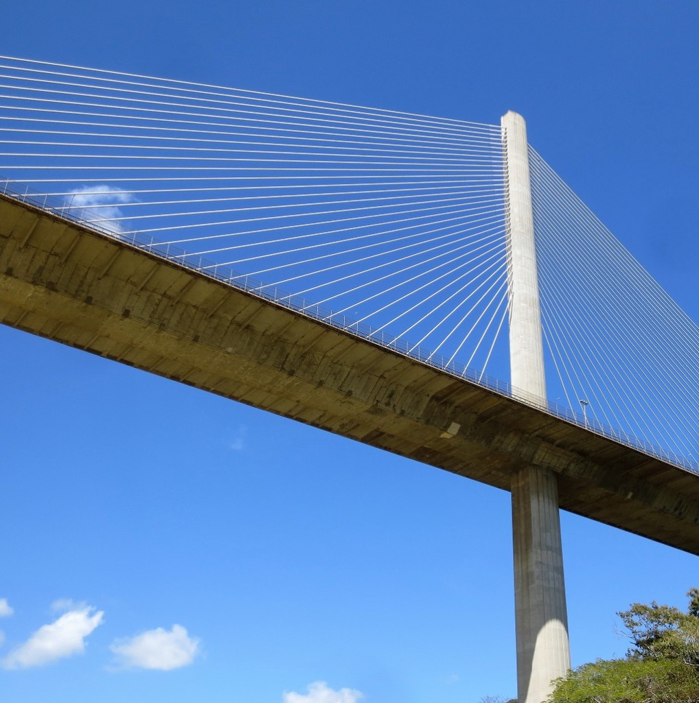 View of cable-stayed bridge from water level.