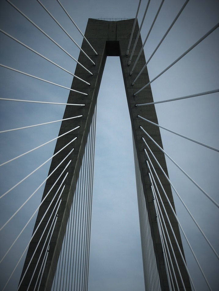 Looking straight up at cables on bridge over Cooper River.