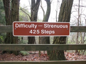 Sign on stairs - stairs! not steps! - to observation deck, Amicalola Falls