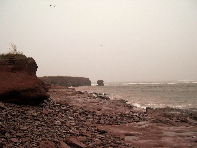 Red sandstone along the coast on a stormy day.