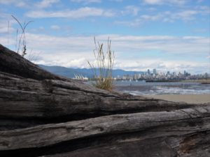 View of city from Spanish Bank; driftwood in foreground