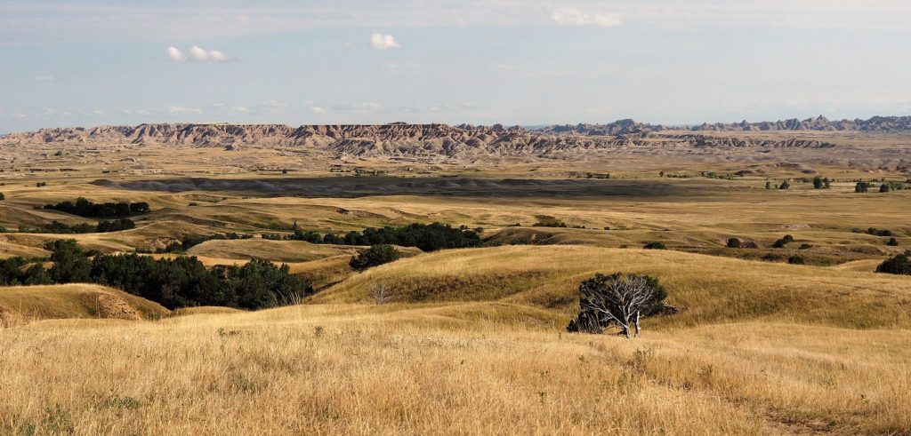 Badlands scene