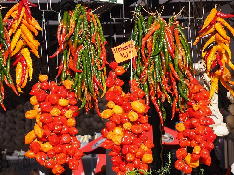 Variety of hot peppers hanging in outdoor stall.