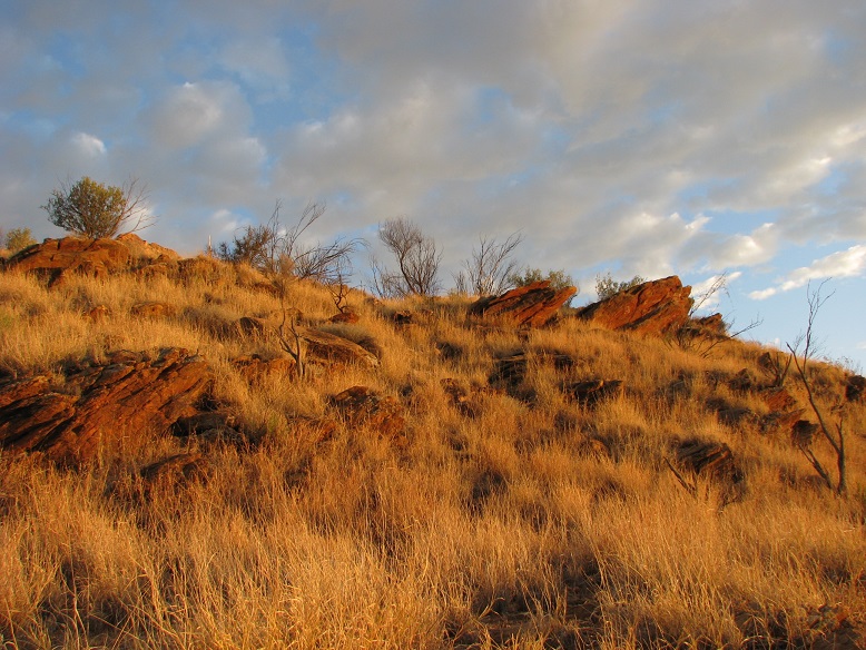 War memorial hill in Alice Springs, in dawn light