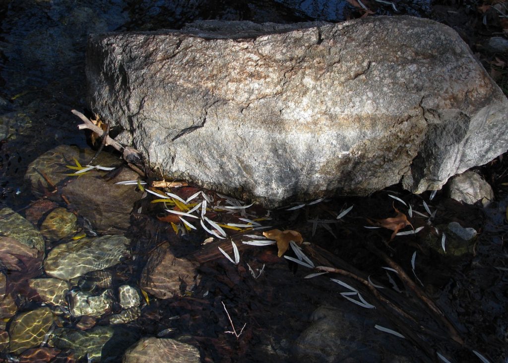 Stream boulder and floating leaves.
