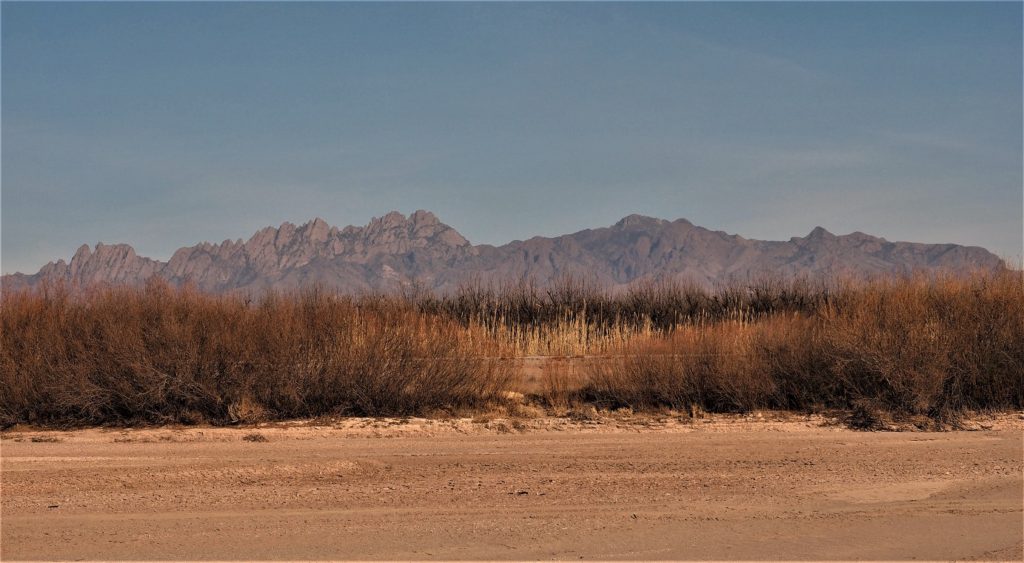 Sand of dry Rio Grande riverbed, willow bushes and grasses, mountains on horizon.