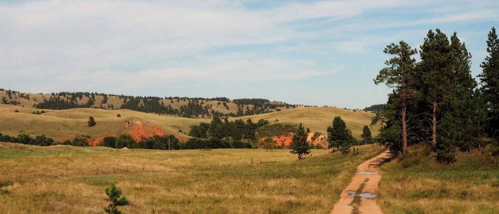 Late afternoon sun on rolling hills in Custer State Park, SD.