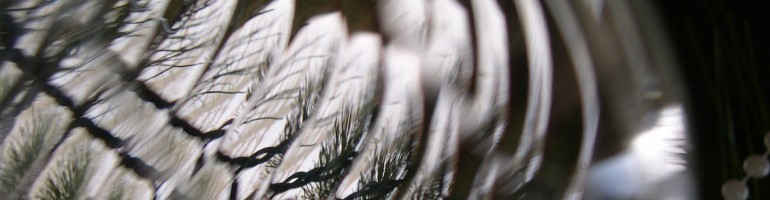 Almost monochrome close-up of multiple, distorted tree reflections in glass Xmas ball with ridged edge.