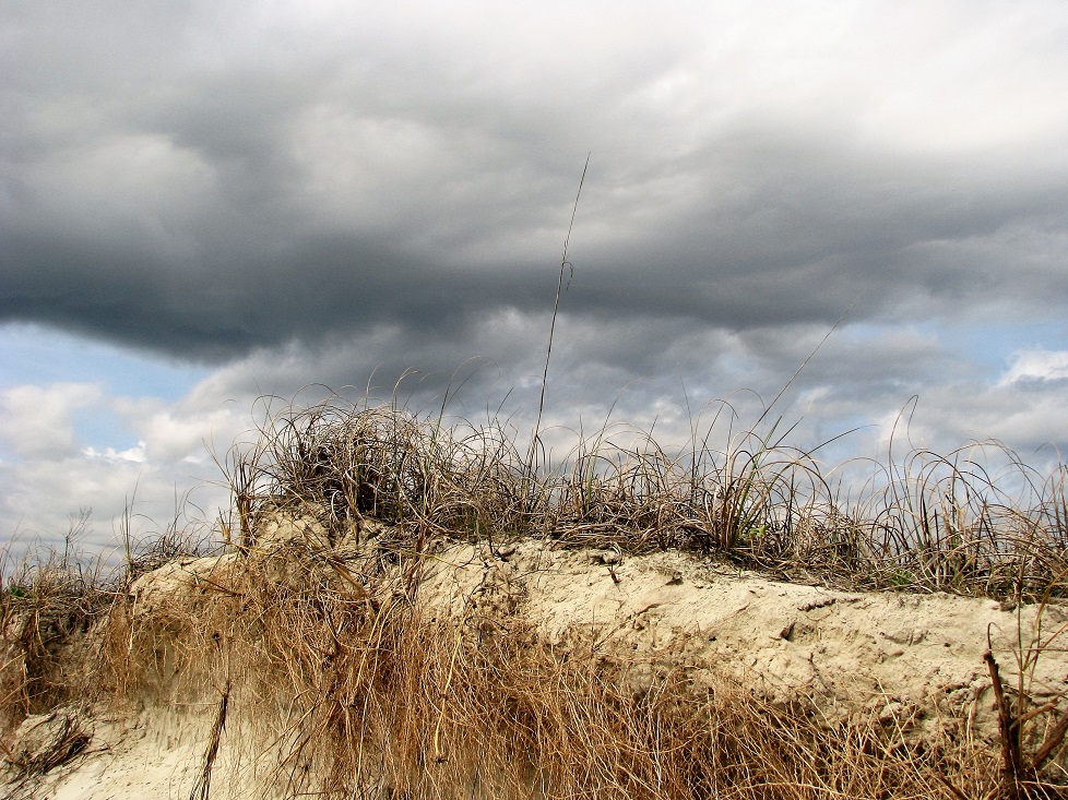 Sand dune with dark sky behind.