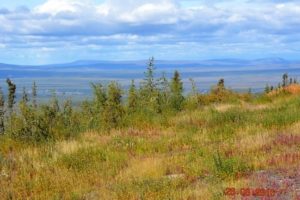 Scrubby trees and yellowing grasses in foreground; moutain range on horizon.