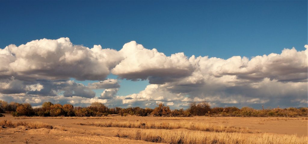 Tan sand and brush in foreground, white clouds and blue sky above.