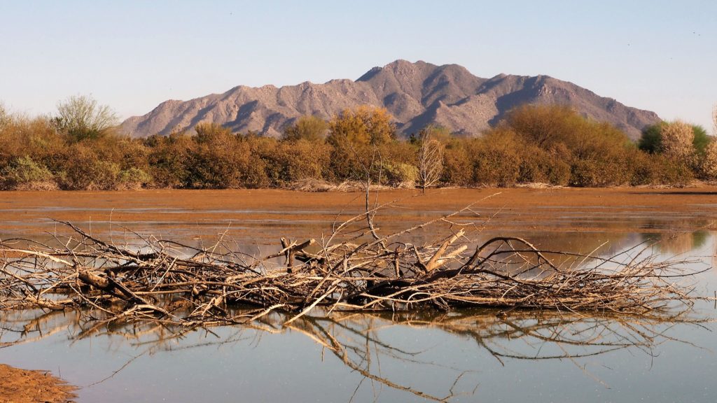 Brush and reflection in foreground; mountains in background
