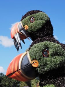 Two puffins in floral or horticultural art.