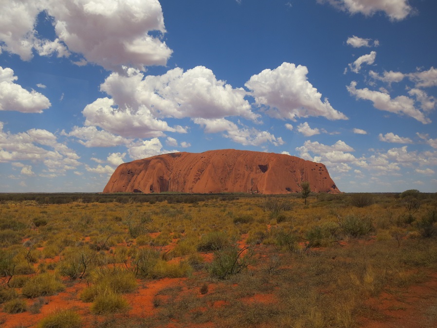 View of Uluru (Ayer's Rock) in the distance.