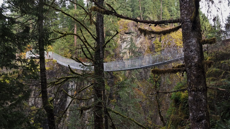 View of suspension bridge through the trees, over the gorge.