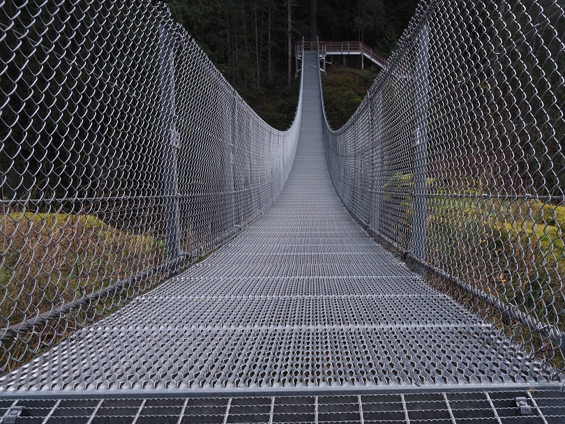 Straight-on view of suspension bridge, showing significant droop.