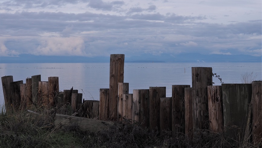 Kye Bay vista with wooden pilings in foreground and mainland in background.