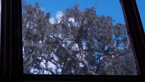 Wavy view through old window pane in Hampton Plantation, Georgetown SC.