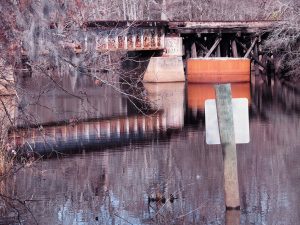 Rusty railway bridge with intruding branches and signs