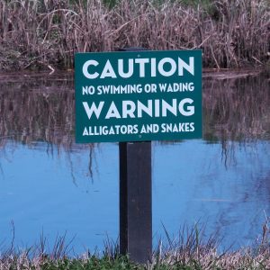 Sign warning of gators and snakes