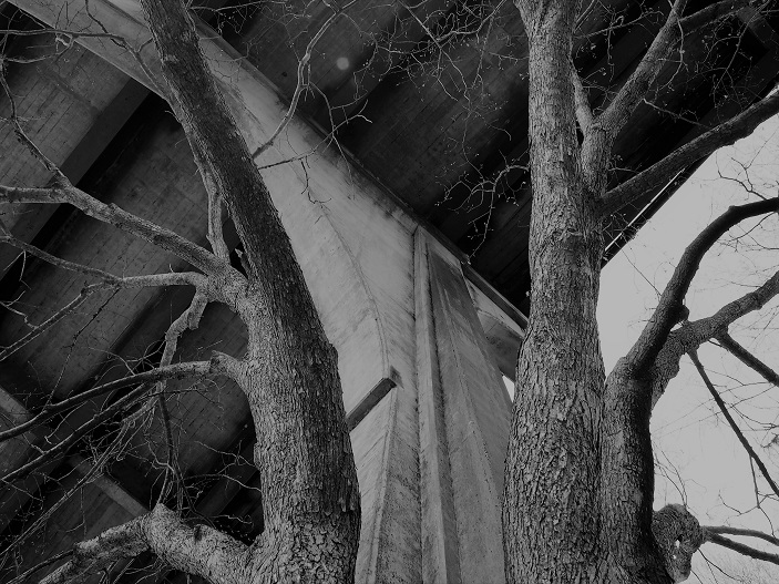 B&W photo of concrete bridge support flanked by tree trunks.