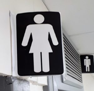 Big-shouldered icon for female toilet leaves me wondering