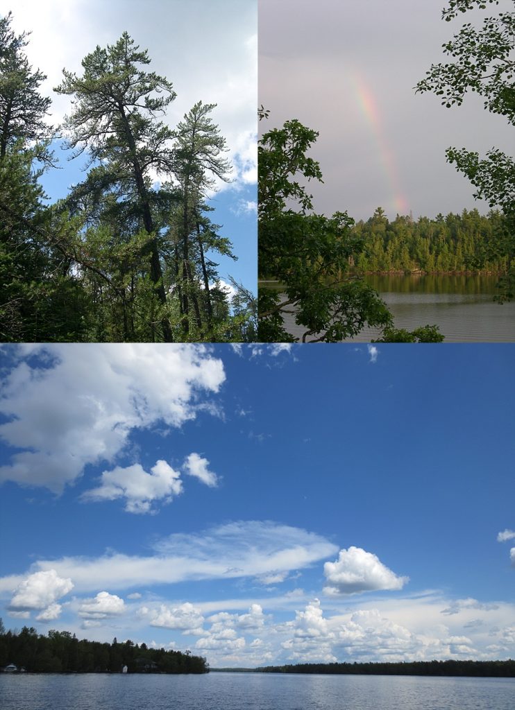 Shoreline of typical Canadian Shield lake