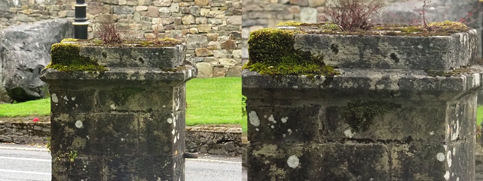 Serendipitous face on stone pillar at Lismore Castle