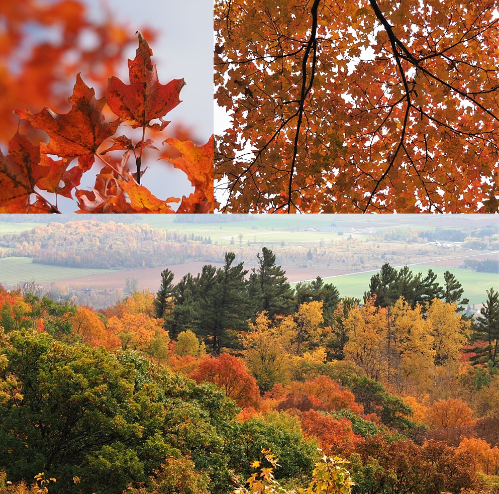 3-photo collage of Gatineau Park in autumn colours