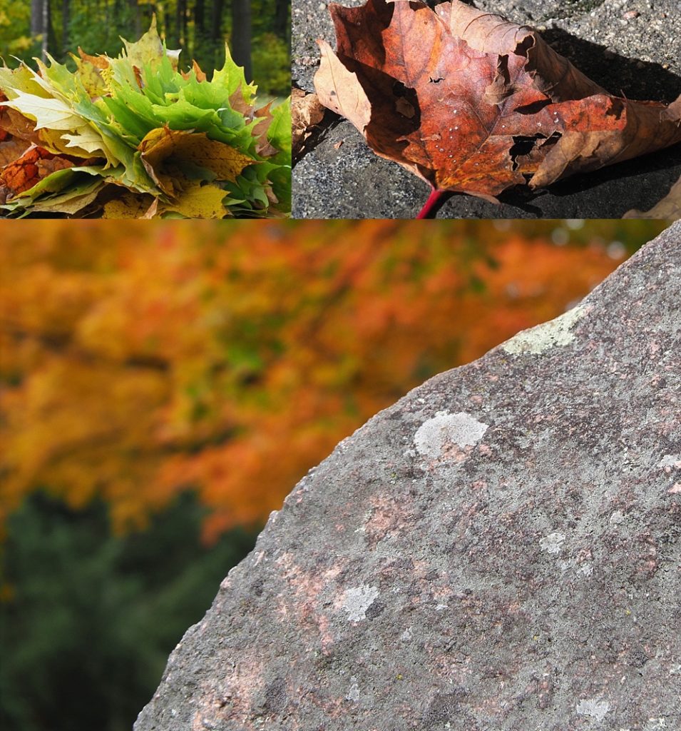 3-photo collage of fall colours in Gatineau Park