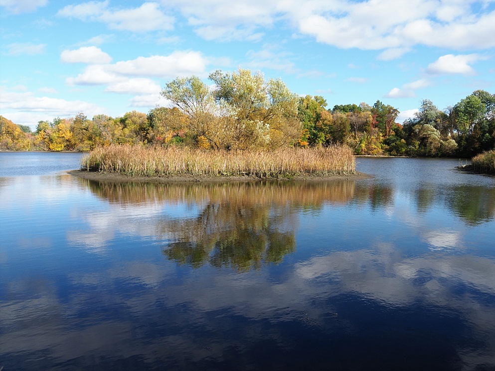 Islet reflected in river in autumn