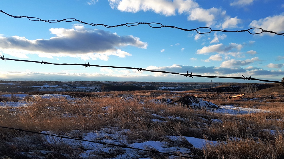 Prairie in afternoon light