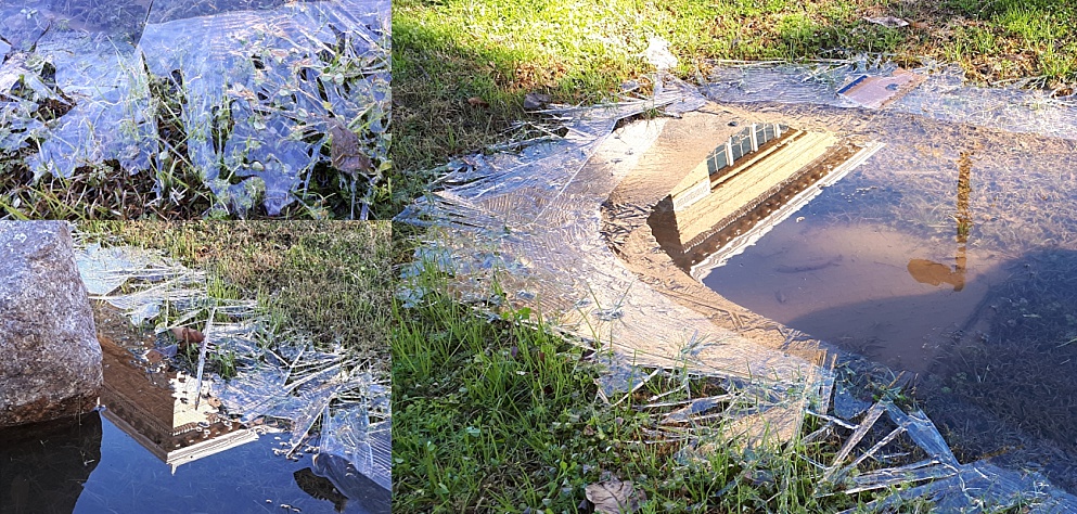 Early-morning ice on puddle