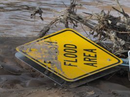 Flash-flood warning sign, in a flood