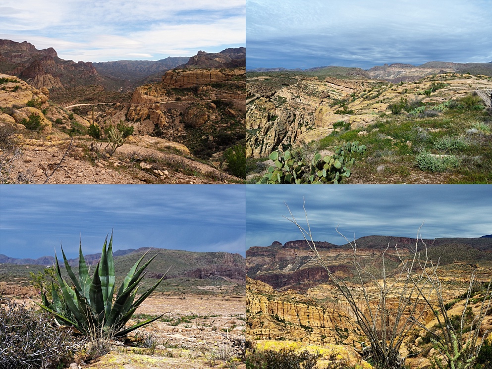 4-photo collage of Fish Creek Lookout