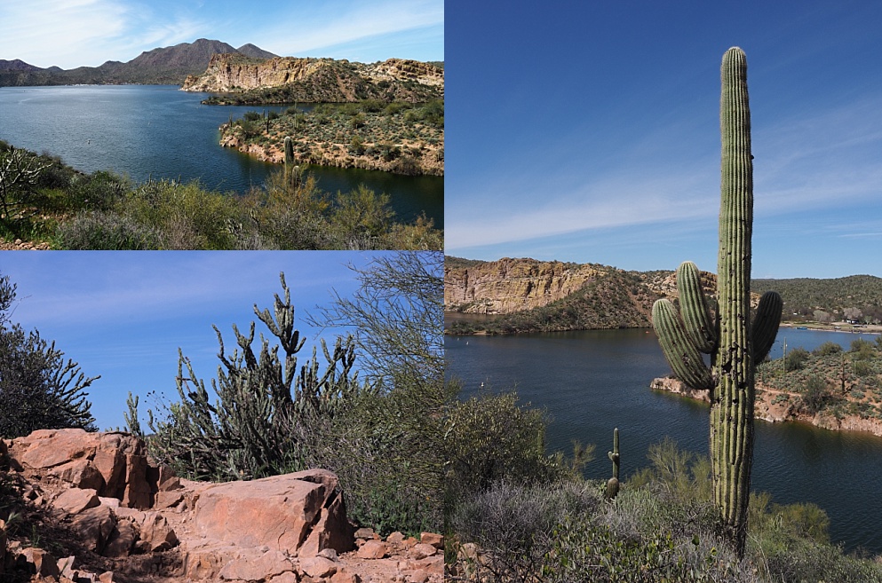 3-photo collage of vistas overlooking Saguaro Lake from Butcher Jones Trail