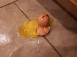 Egg smashed on ceramic-tile floor