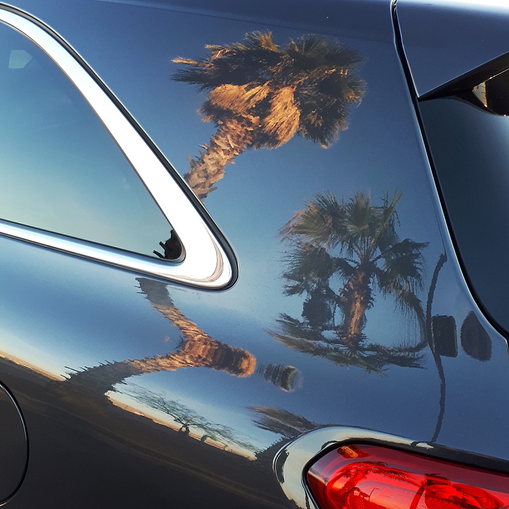 Reflection of two palm trees in car body