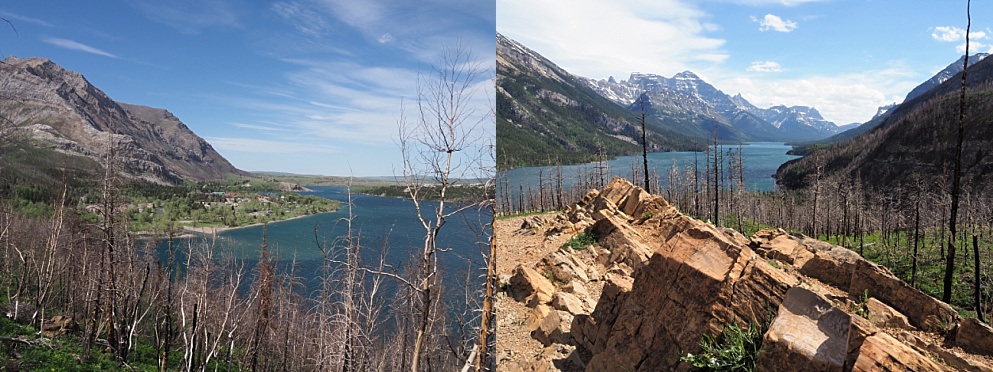 Waterton Lakes vistas after the Kenow wildfire