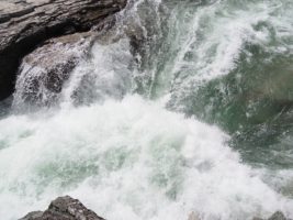 Rapids in Glacier National Park